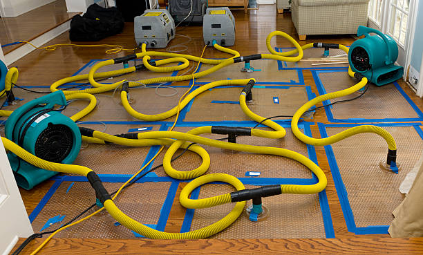 Professional Water Damage Repair technician working in Cameron, OH